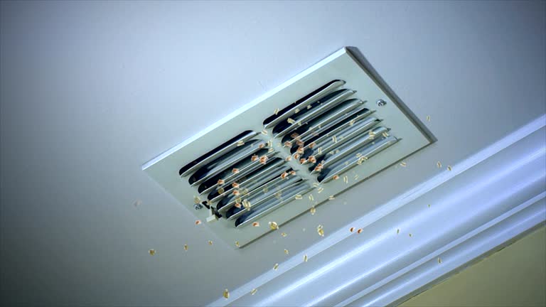 Best Residential Air Duct Cleaning  in Grand Bay, AL
