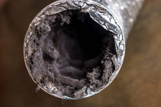 Best HVAC Maintenance and Cleaning  in Grand Bay, AL