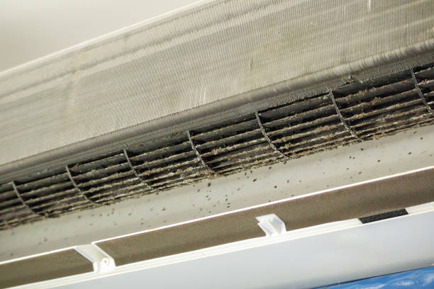 Best Air Duct Cleaning Company Near Me  in Grand Bay, AL