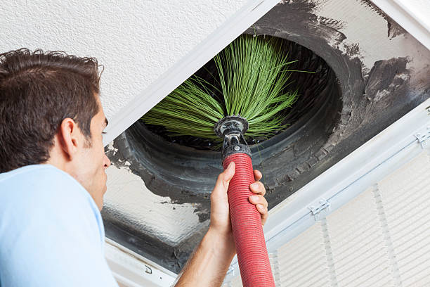 Best Ductwork Cleaning Services  in Grand Bay, AL