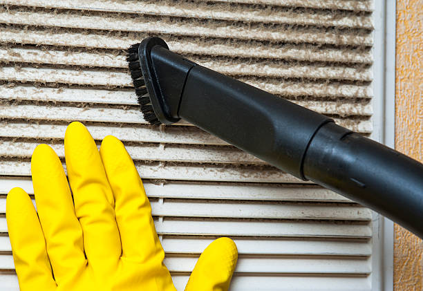 Best Air Duct Sanitizing Services  in Grand Bay, AL